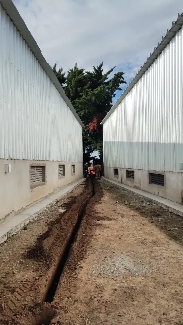 Zanjadora para tendido de cañerías 5